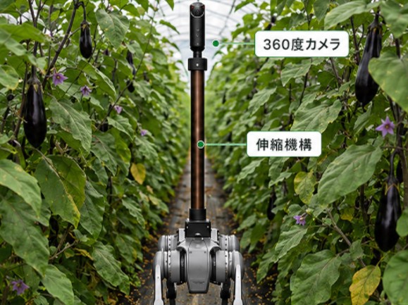 ハウス農場点検のイメージ